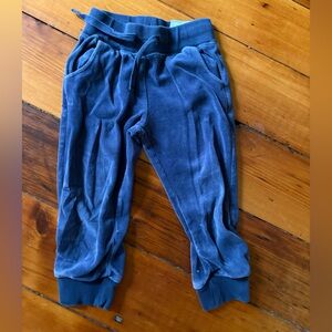 Size 3 Kids Blue Velour Jogger Pants